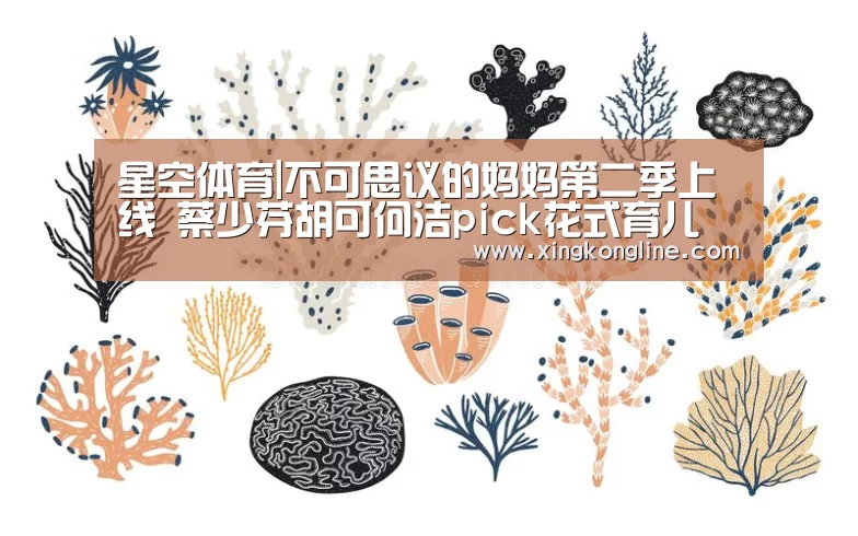 星空娱乐